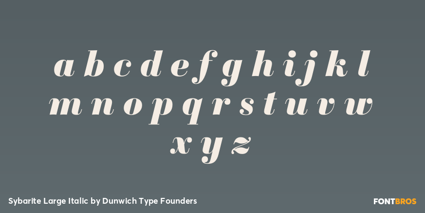 Sybarite Large Italic Font Poster #3