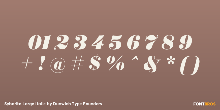 Sybarite Large Italic Font Poster #4