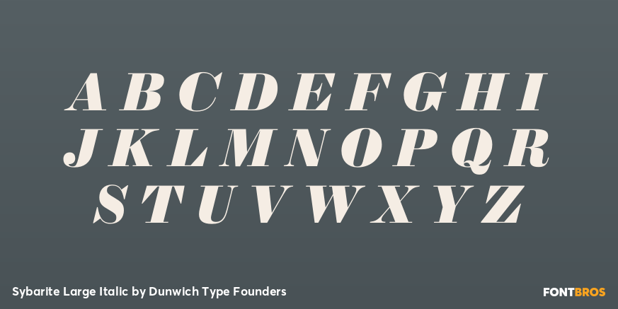 Sybarite Large Italic Font Poster #1