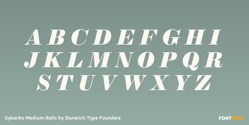 Sybarite Medium Italic Font Poster #2