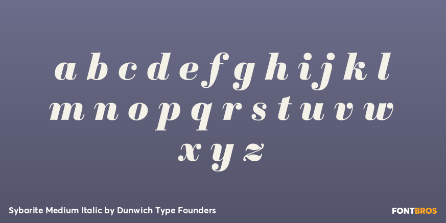 Sybarite Medium Italic Font Poster #3