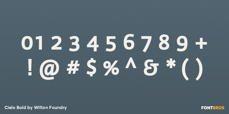 Cielo Bold Font Poster #4