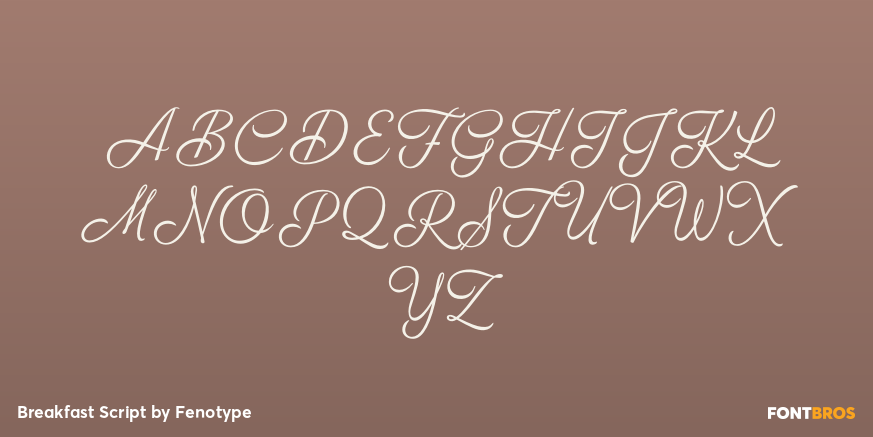 Breakfast Script Font Poster #1