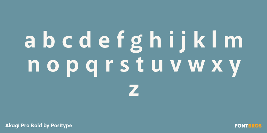 Akagi Pro Bold Font Poster #3