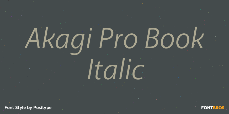 Akagi Pro Book Italic Font Poster #1