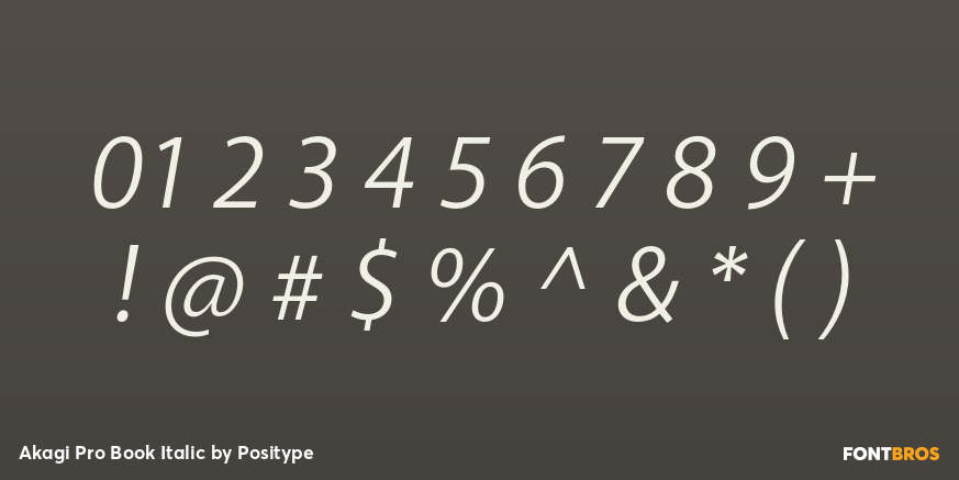 Akagi Pro Book Italic Font Poster #1