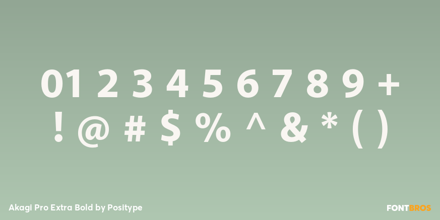 Akagi Pro Extra Bold Font Poster #4