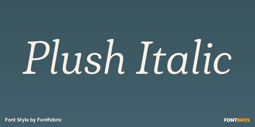 Plush Italic Poster