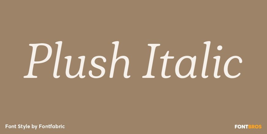 Plush Italic Poster