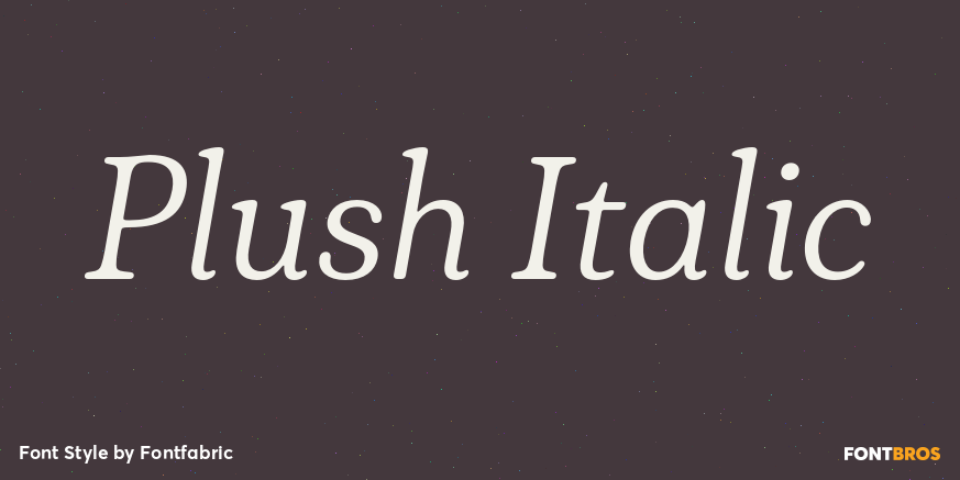 Plush Italic Poster
