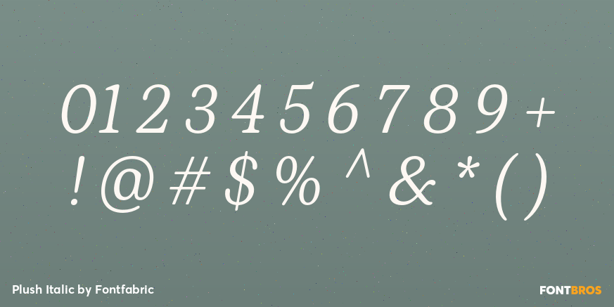 Plush Italic Font Poster #1