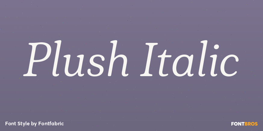 Plush Italic Poster
