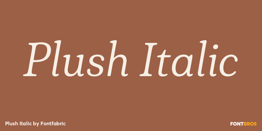 Plush Italic Poster