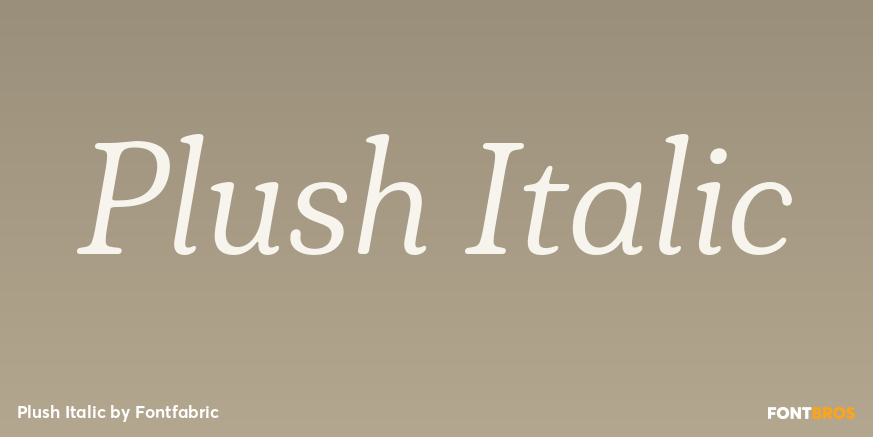 Plush Italic Poster