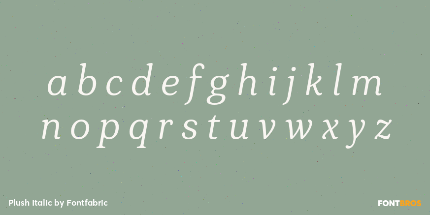 Plush Italic Font Poster #3