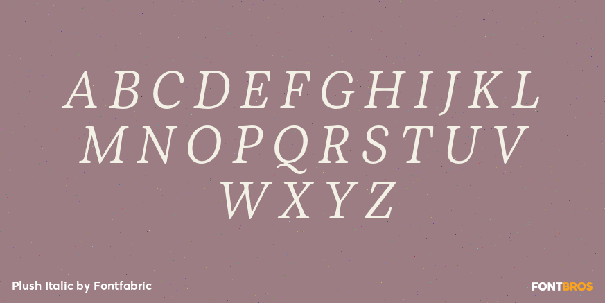 Plush Italic Font Poster #1