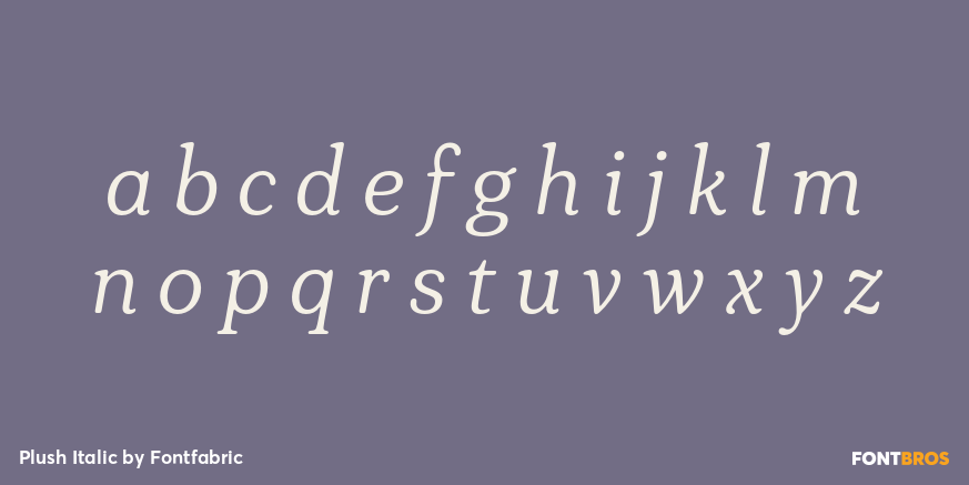Plush Italic Font Poster #1