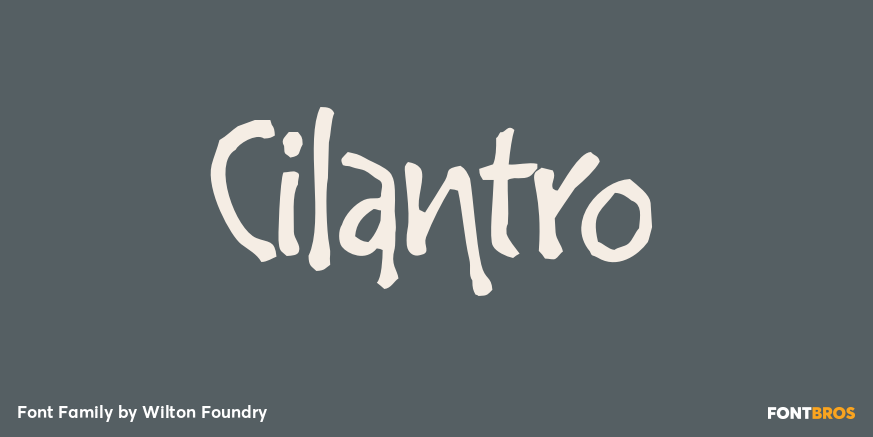 Cilantro Poster