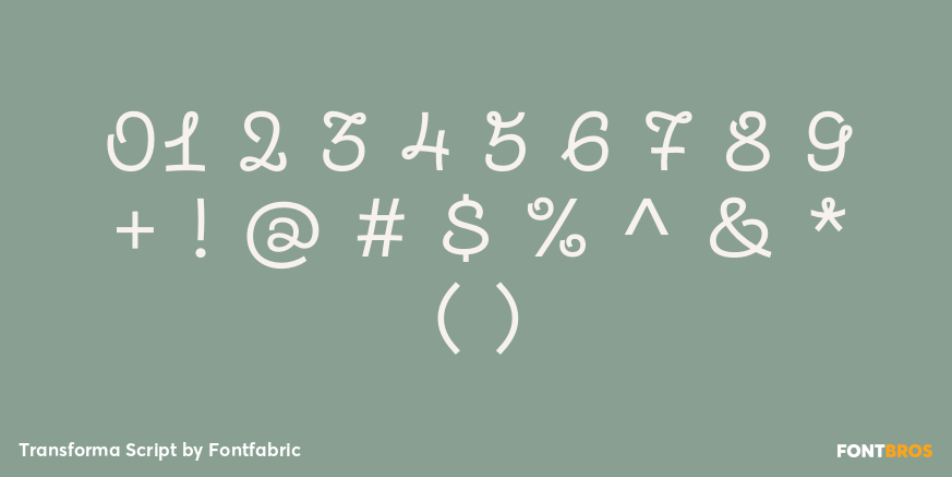 Transforma Script Font Poster #1