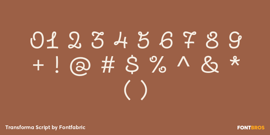 Transforma Script Font Poster #4
