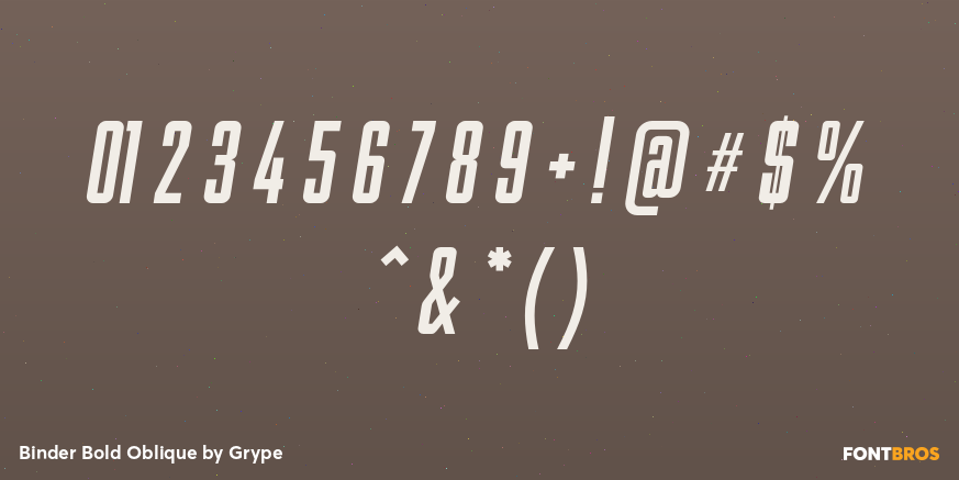 Binder Bold Oblique Font Poster #4