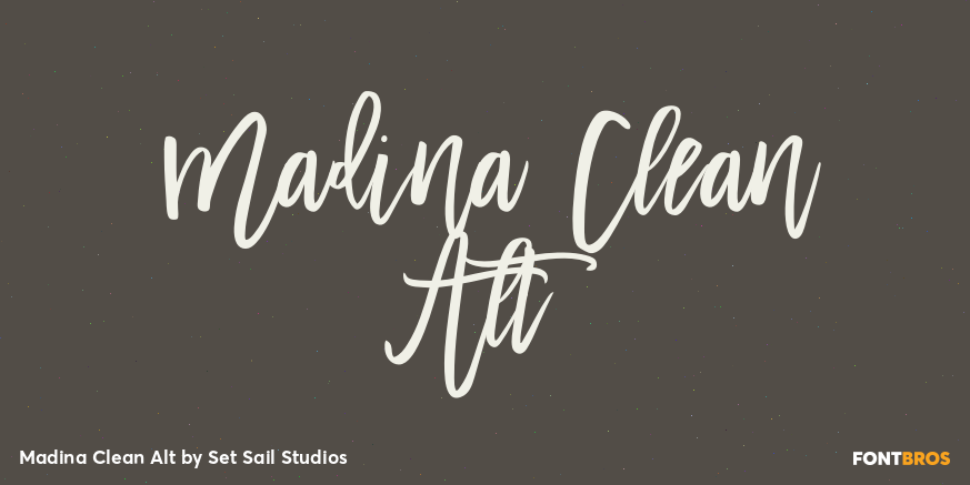 Madina Clean Alt Font Poster #1