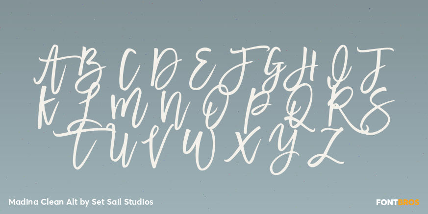Madina Clean Alt Font Poster #2