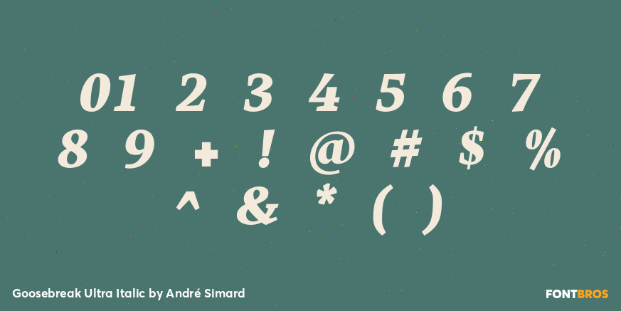 Goosebreak Ultra Italic Font Poster #4