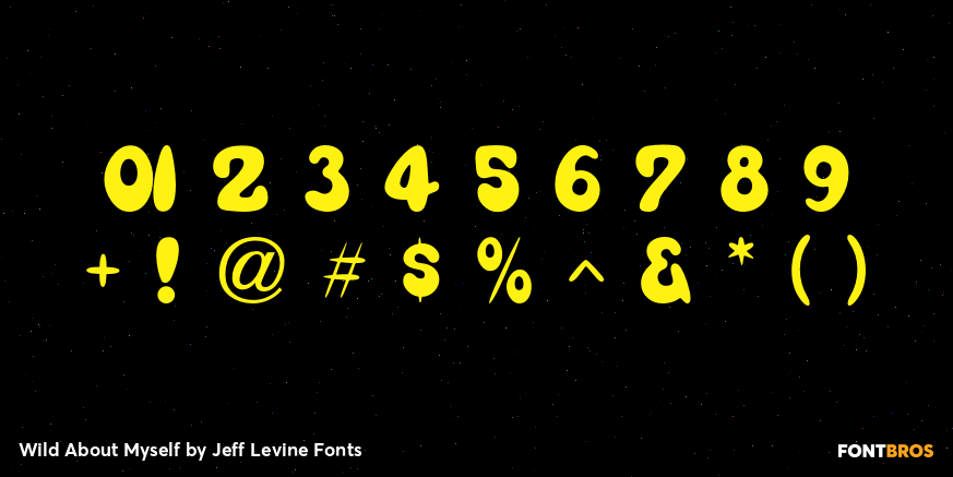 Wild About Myself Font Poster #4