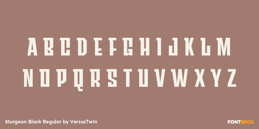 Sturgeon Black Regular Font Poster #3