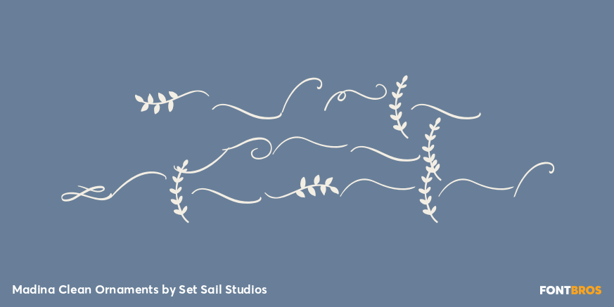 Madina Clean Ornaments Poster