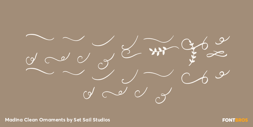 Madina Clean Ornaments Font Poster #2