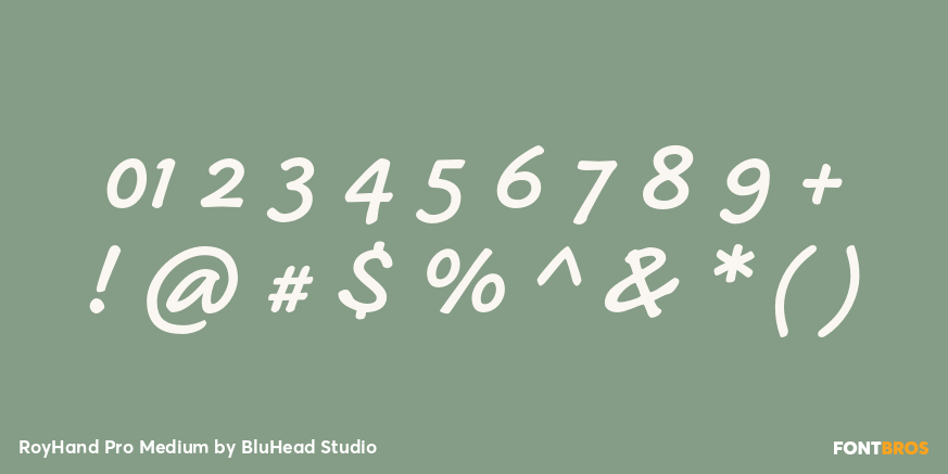 RoyHand Pro Medium Font Poster #4