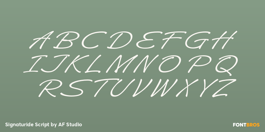 Signaturide Script Font Poster #2