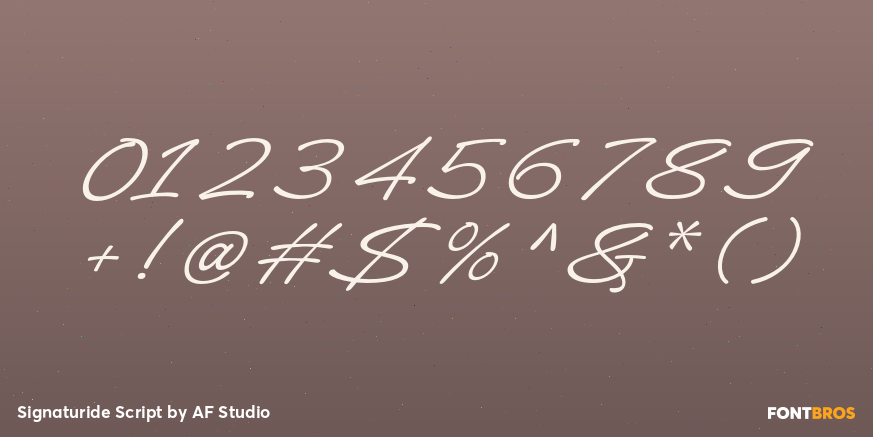 Signaturide Script Font Poster #4