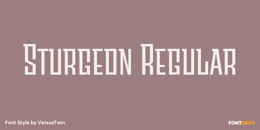 Sturgeon Regular Font Poster #1