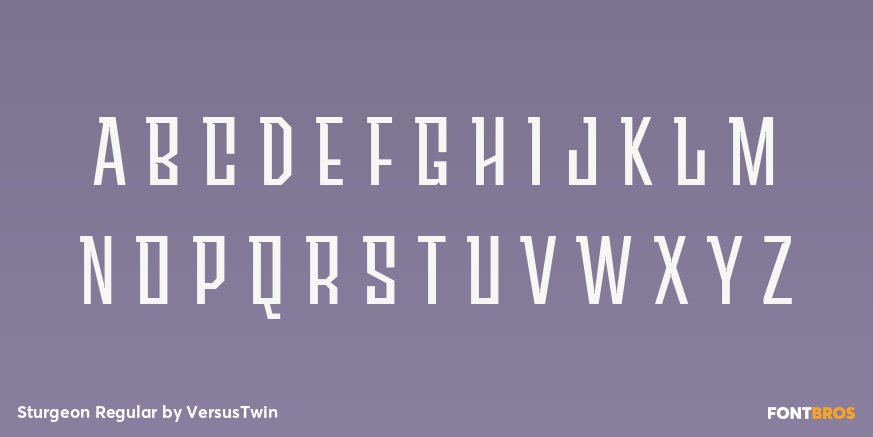 Sturgeon Regular Font Poster #3