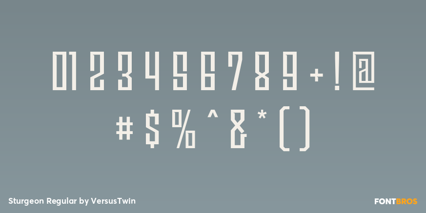 Sturgeon Regular Font Poster #4