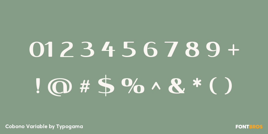 Cobono Variable Font Poster #4