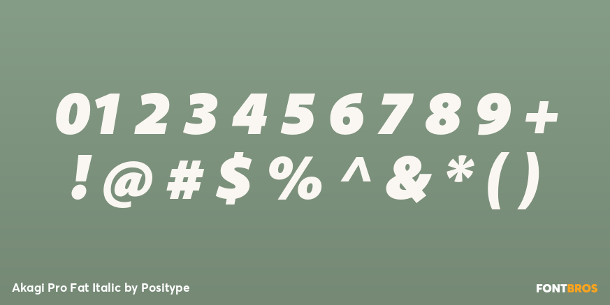 Akagi Pro Fat Italic Font Poster #4