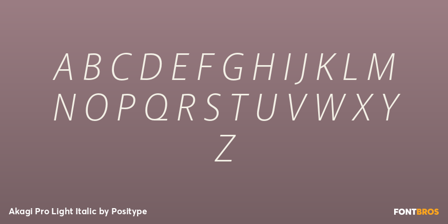 Akagi Pro Light Italic Font Poster #1