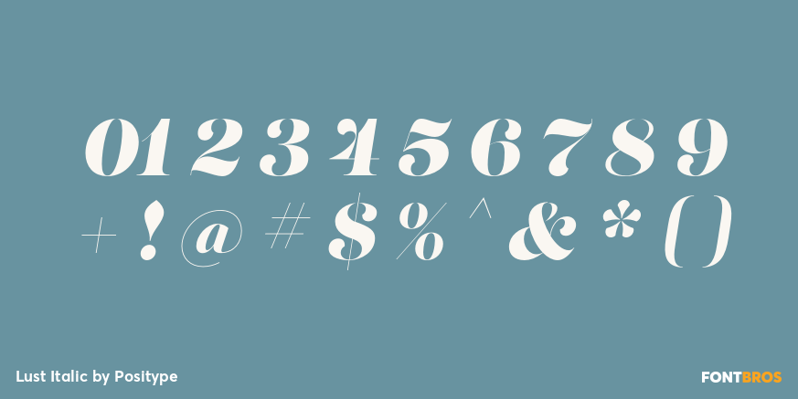 Lust Italic Font Poster #4