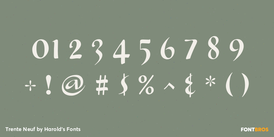 Trente Neuf Font Poster #4