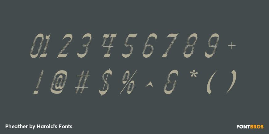 Pheather Font Poster #4