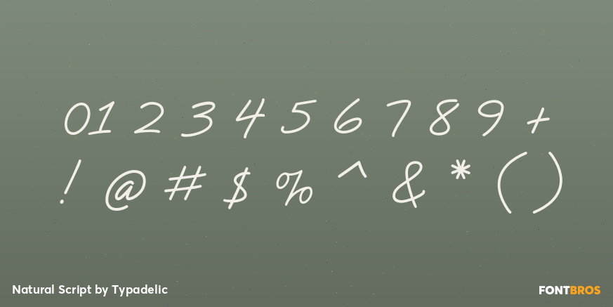 Natural Script Font Poster #1