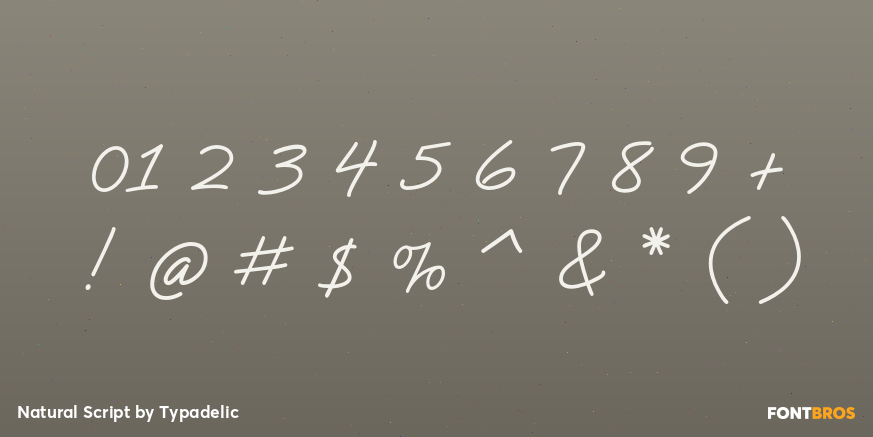 Natural Script Font Poster #4