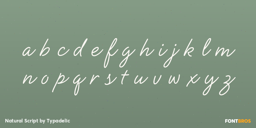 Natural Script Font Poster #1