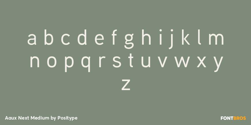 Aaux Next Medium Font Poster #3