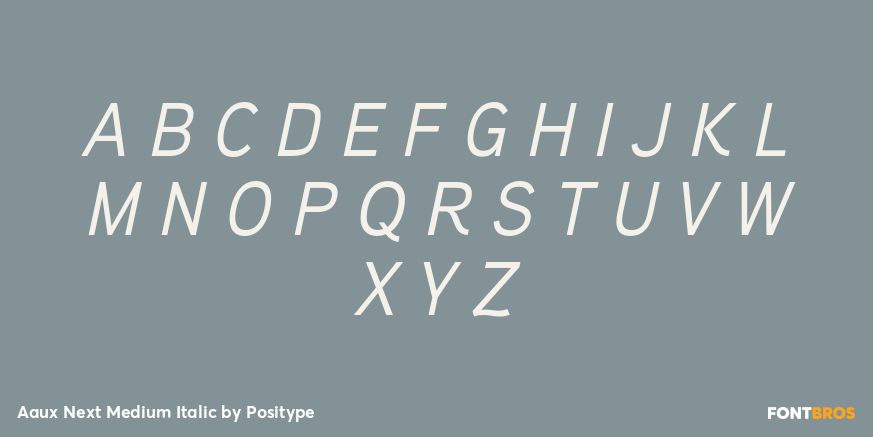 Aaux Next Medium Italic Font Poster #1