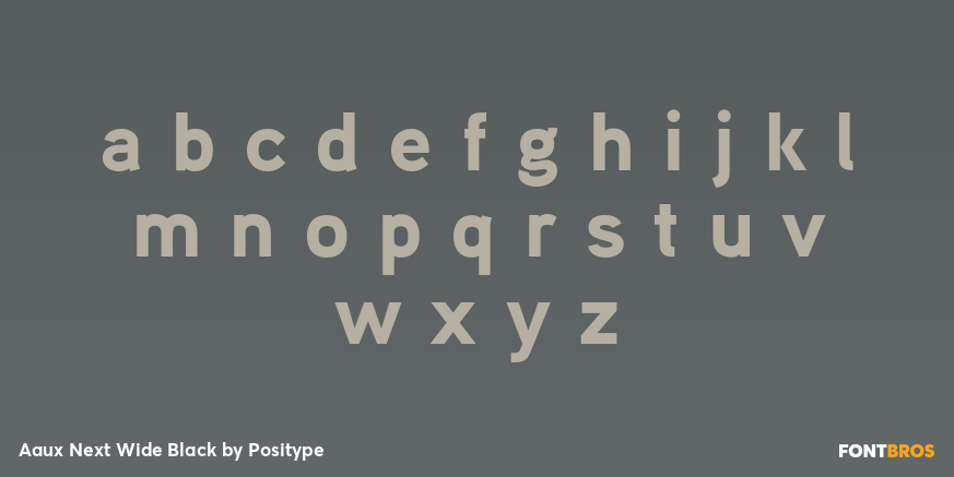Aaux Next Wide Black Font Poster #1
